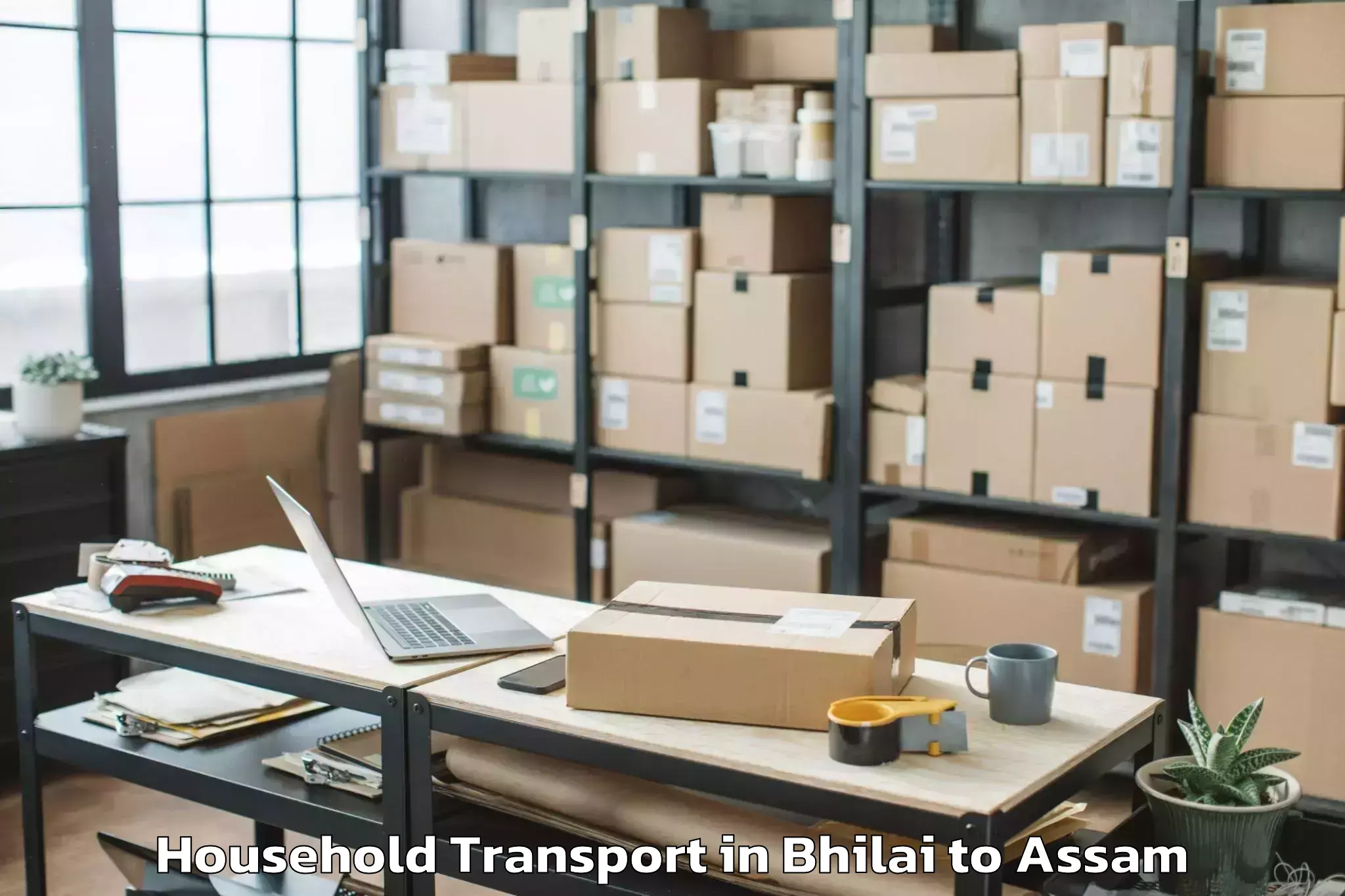 Reliable Bhilai to Dimow Household Transport